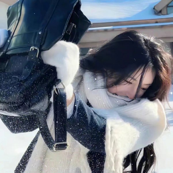 王后秘史封面